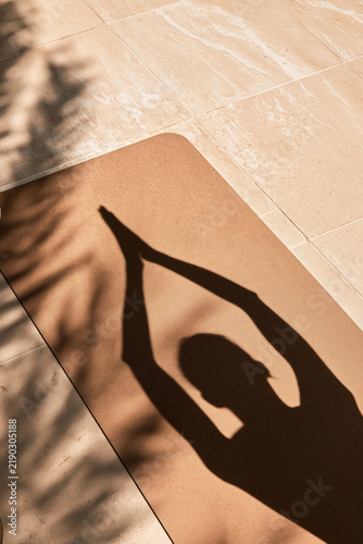 Shadow of a person practicing yoga stretches across a brown mat in warm sunlight beside soft palm leaf shadows.
