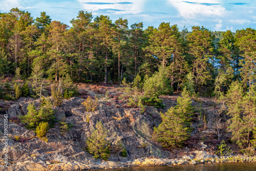 Rocky cliff covered with green pine forest on a scenic island in Stockholm archipelago. Beautiful Nordic nature background, texture of granite stone, and ecology travel concept in Sweden.