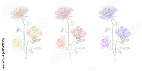 BEAUTIFUL FLOWER WITH THORNY STEM - WATERCOLOR ILLUSTRATION STOCK