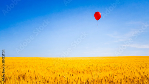 Ballon rouge s'envolant dans le ciel bleu au dessus d'un champ de blé