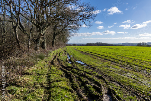 фотографія A view along a muddy pathway at the edge of farmland in rural Sussex