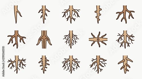 Collection of fifteen botanical root system illustrations depicting diverse underground plant structures like taproots, fibrous systems, and lateral branching in a flat vector style.