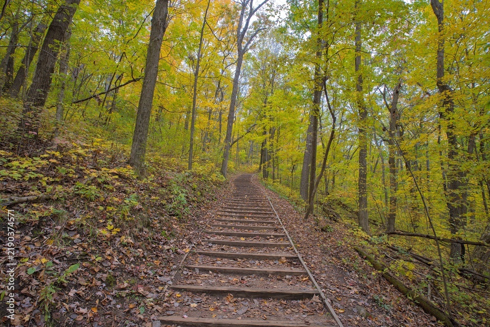 Obraz premium Trail to Parnell Tower at Kettle Moraine State Forest, Wisconsin, USA