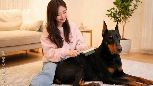 Young woman grooming Doberman dog in bright modern home interior