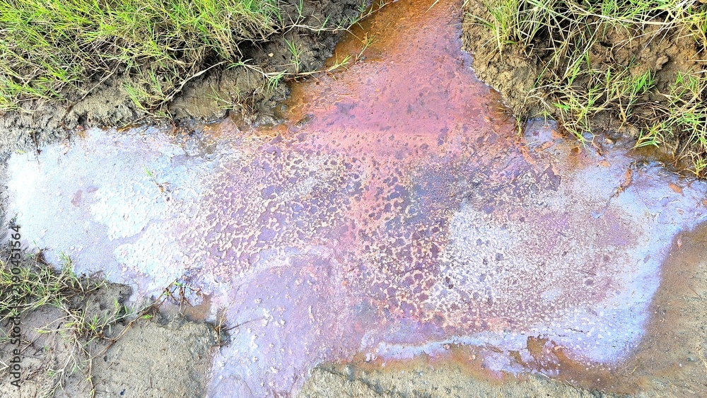 Obraz premium Iridescent Oil Slick on Water Surface with Green Grass and Muddy Soil