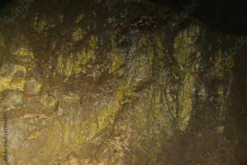 Cuadro en lienzo limestone cave wall covered with a yellowish green film of microscopic algae and bacterial colonies