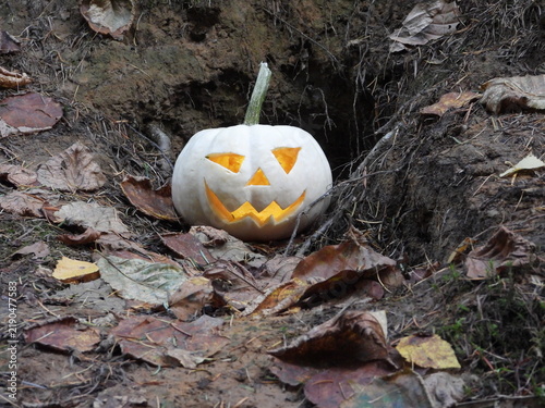 White carved Halloween pumpkin glowing among fallen autumn leaves in woodland