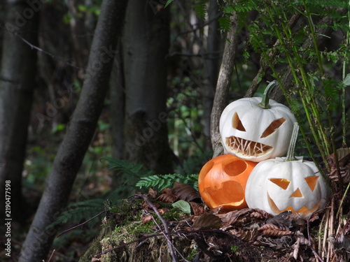 Three carved Halloween pumpkins arranged on forest floor in dark woodland