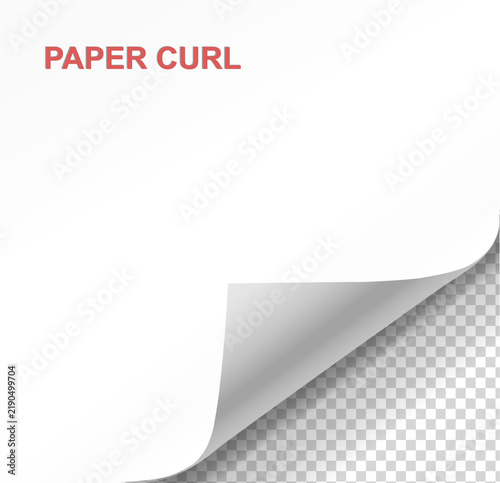 Curled page corner isolated on transparent background. Blank curve paper edge, bent sheet, note angle with realistic shadow. Vector rolled up stickers, peel banners single curved corner lifted,