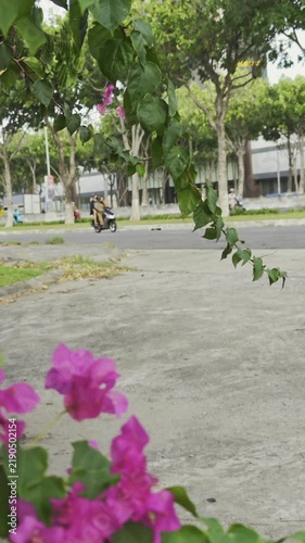 A view of a city road in Vietnam. Cars and motorcycles are traveling along the road.   Slow-motion.
