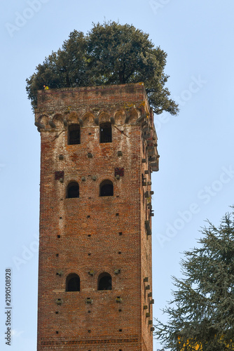 Obraz na plátně The iconic medieval Guinigi Tower with green holm oak trees growing on top again