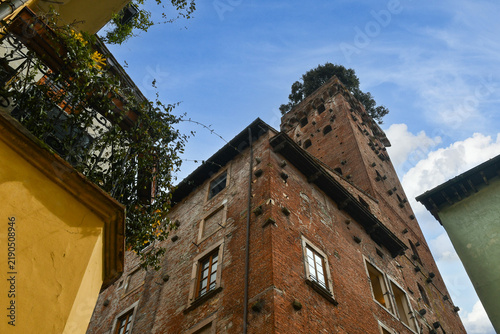 Foto Historic Guinigi Tower with holm oak trees growing on top under a blue sky, Lucc
