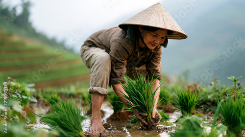 Vietnamese farmer in conical hat plants rice seedlings in a misty flooded terrace field, capturing authentic rural agricultural tradition and landscape.