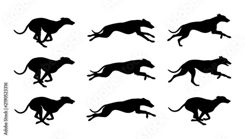 Bild auf Leinwand Black greyhound silhouettes in motion, set of running dogs, graphic