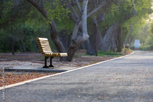 Foto Empty Park Bench Along a Curving Path in Abu Dhabi