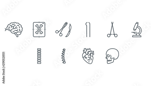 Outline vector icons representing anatomy and surgery equipment including brain xray heart skull and microscope.
