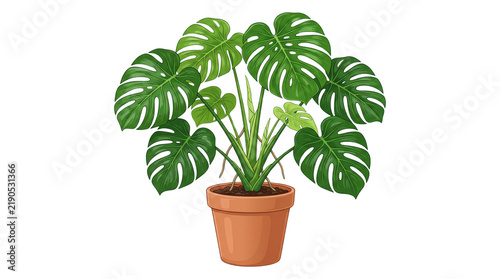Monstera deliciosa houseplant in terracotta pot, vibrant green swiss cheese plant, tropical indoor foliage for home decor isolated PNG with Transparent Background