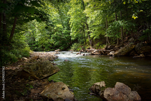 Shallow Stream, Mossy Rocks and Green Trees in North Carolina