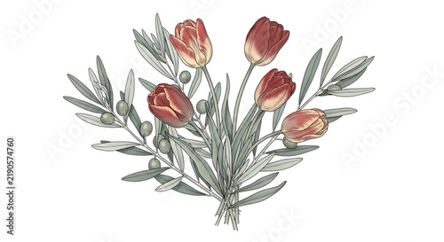 Vintage illustration of a beautiful bouquet featuring red tulips and olive branches with green leaves on a white background