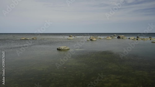 Rocks and rare plants growing on them. The gently sloping rocky shore is a popular spot for recreation and hiking. The Baltic Sea coast in Estonia in August
