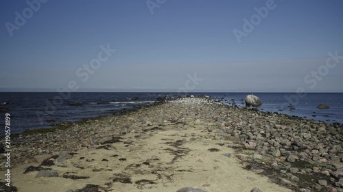 Seagulls and cormorants on the rocks of the Baltic Sea. Hiiumaa Island, Estonia. A popular vacation spot for locals and tourists.