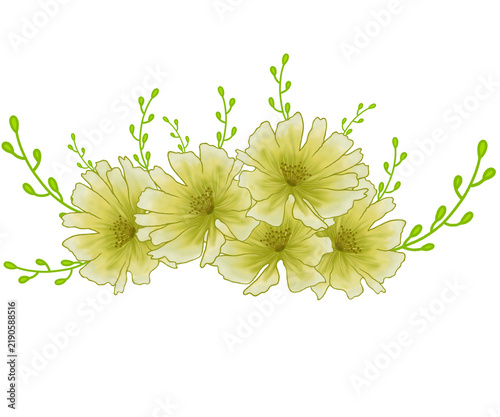 Beautiful yellow flowers