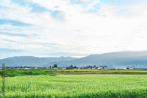 蕎麦畑と広がる田園風景と山並み