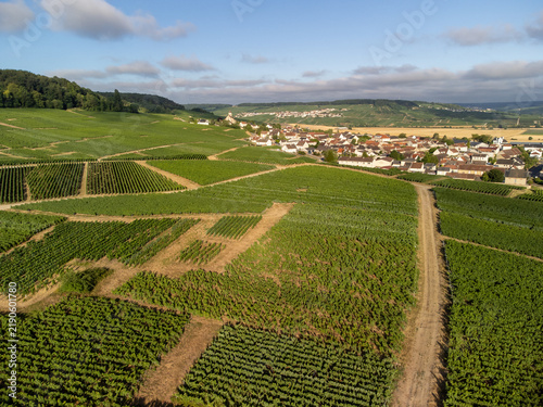 Aerial view of Cote des Blancs Grand Cru vineyards with chardonnay grapes in rows near Cramant on limestone soil, Champagne sparkling wine making industrial region in France