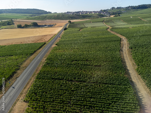 Aerial view of Cote des Blancs Grand Cru vineyards with chardonnay grapes in rows near Cramant on limestone soil, Champagne sparkling wine making industrial region in France