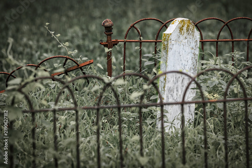 Walke Point Graves 1