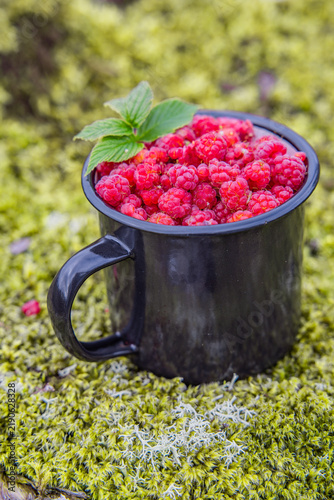 Wilde Himbeeren in einem Becher