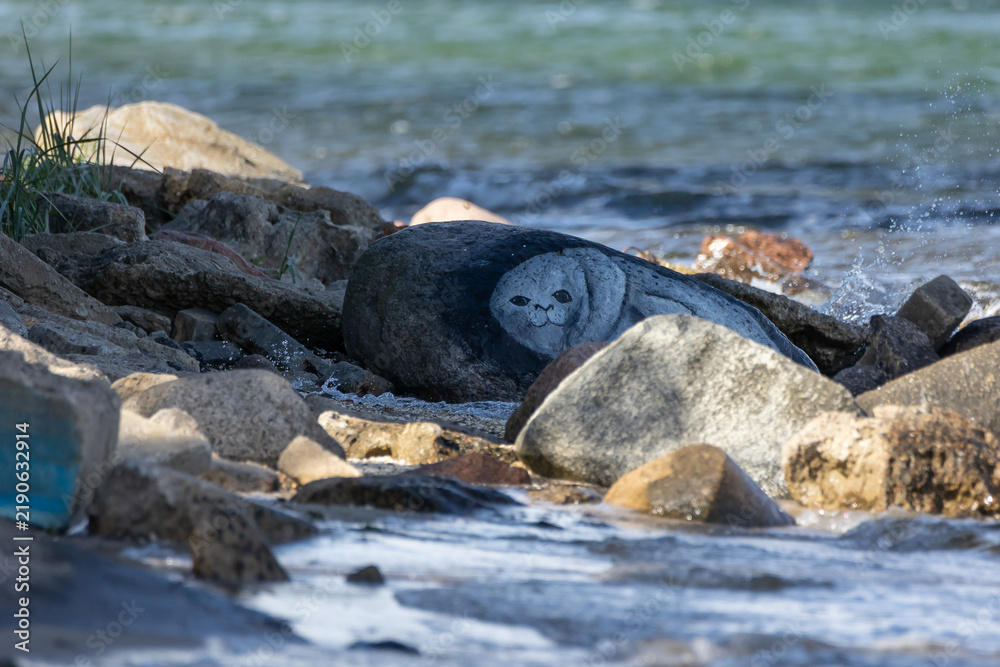 Obraz premium Seal painted on a stone lying on a rocky sea shore. Street art, seal drawing painted on a boulder near splashing waves, eco art on Baltic coast.