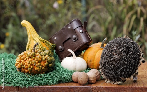 Autumn harvest still life with gourds and vintage camera