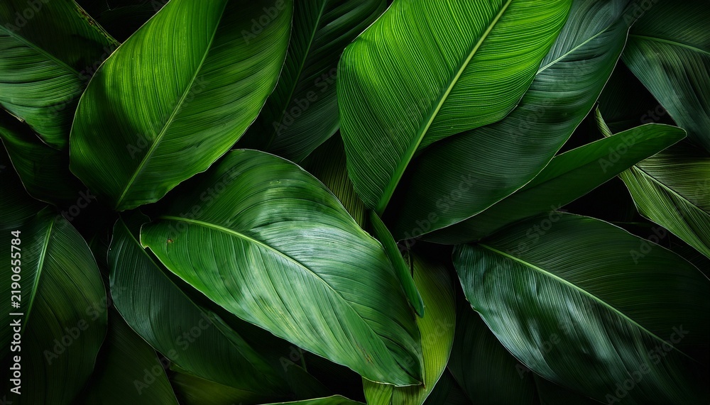 Fototapeta premium vibrant green leaves sharply focused dark backdrop photography tropical