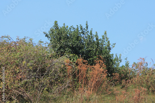 Fototapeta Dune landscape