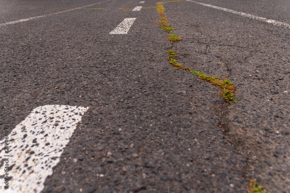 Obraz premium Crack in the road with green growth in an urban area during daylight