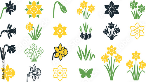 Daffodil flower narcissus vector icon collection with yellow spring blossoms green leaves bulbs and butterfly isolated on white background