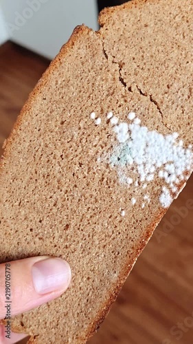 Moldy Slice of Dark Rye Bread with White Fungus, Spoiled Food Close Up