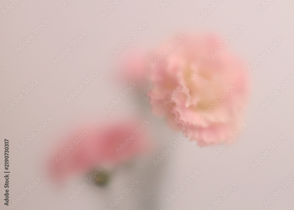 Obraz premium Smoke selected soft focus cream beige white Eustoma. Lisianthus Flower bouquet through translucent matte frosted glass. Abstract natural blurred grain light fog background.