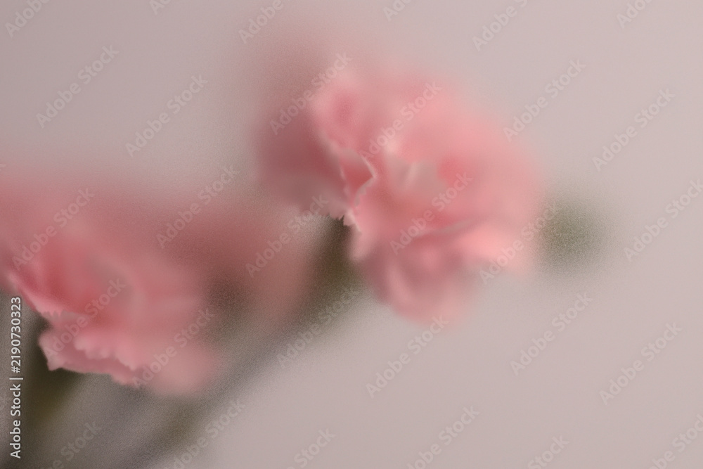 Obraz premium Smoke selected soft focus cream beige pink Carnation Flower bouquet through translucent matte frosted glass. Abstract natural blurred grain light fog background.