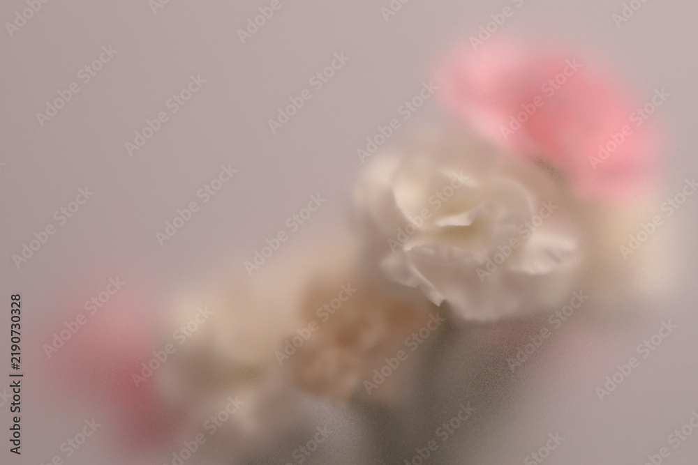 Obraz premium Smoke selected soft focus white, pink Carnation Flower bouquet through translucent matte frosted glass. Abstract natural blurred grain light fog background.