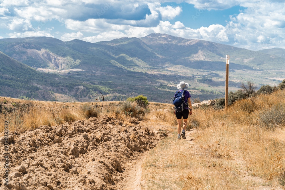 Fototapeta premium Lone hiker walking on a hot summer day. 