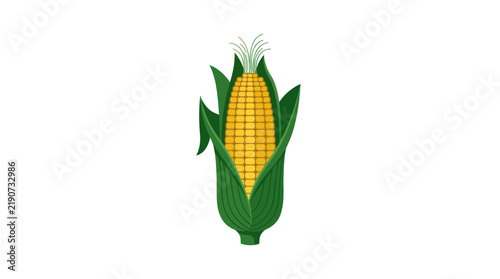 Corn Cob Vector Illustration