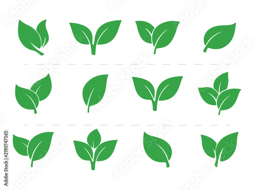 Green Leaf Collection with Botanical Nature Icons Isolated on White Background