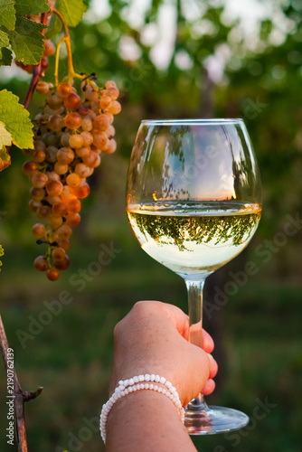 Bicchiere con vino e grappolo d'uva in autunno in Italia