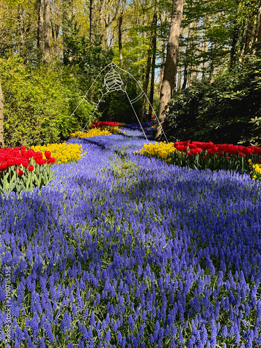 Fotografie spring in the park