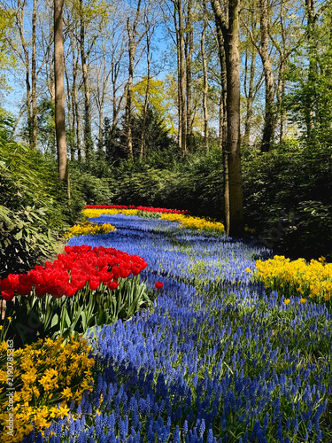 Obraz na płótnie flowers in the park