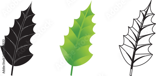 Leaf Icon Set, Botanical Tree Leaf Vector Symbol Resembling Christmas Pine Branch in Black Silhouette, Green Gradient and Line Art Outline Style, Nature Plant Foliage Illustration, EPS
