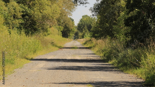 Obraz na plátne Straight gravel country road disappearing into the distance, lined with green trees and wild grass in Quebec, Canada, during summer