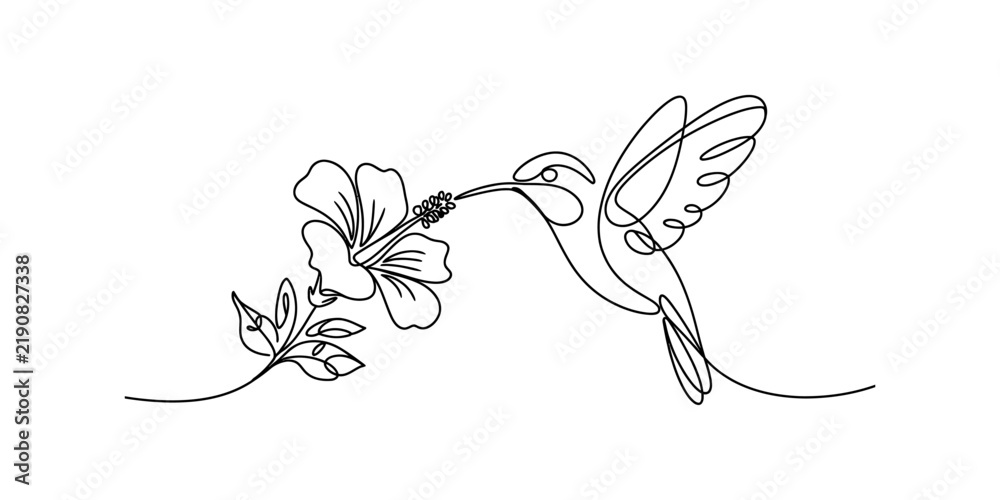 Fototapeta premium Continuous single line drawing of a small hummingbird bird flying to drink nectar from a beautiful tropical hibiscus flower